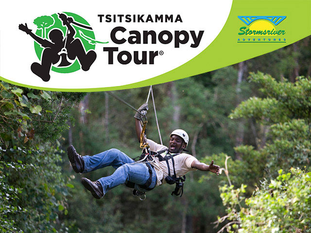 Tsitsikamma Canopy Tours 1