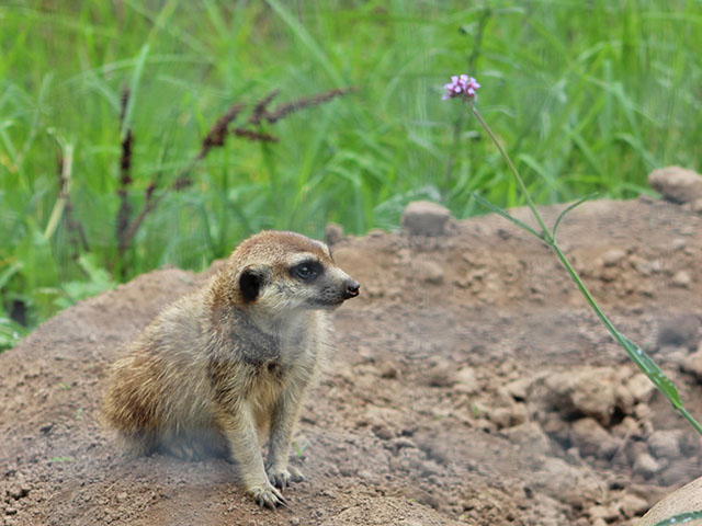 George Wildlife Park 2026 10 ld