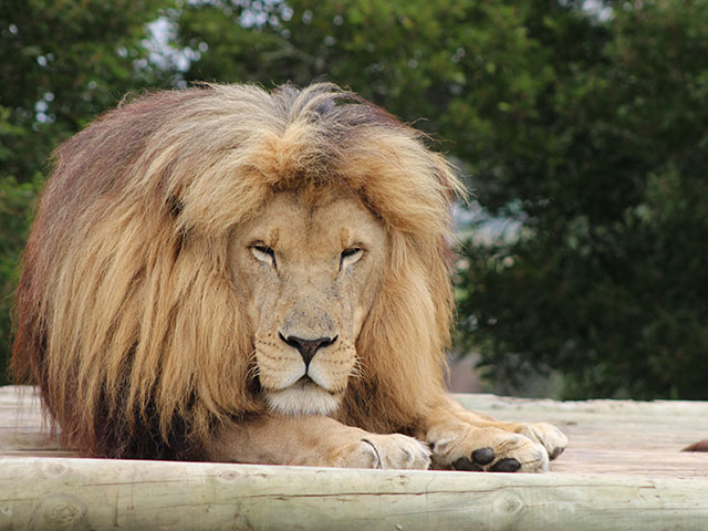 George Wildlife Park 2026 2 ld