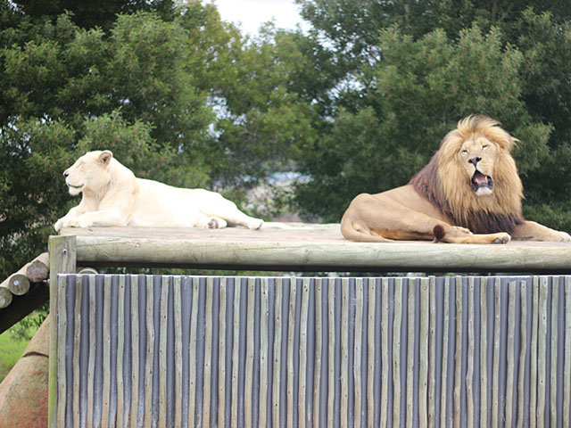 George Wildlife Park 2026 3 ld