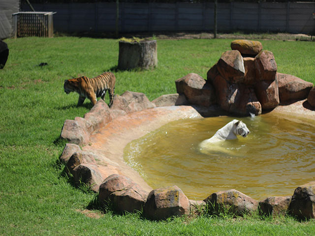 George Wildlife Park 2026 4 ld