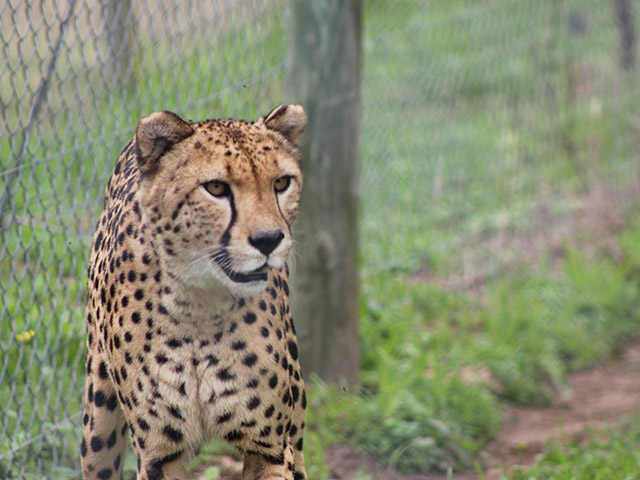 George Wildlife Park 2026 5 ld