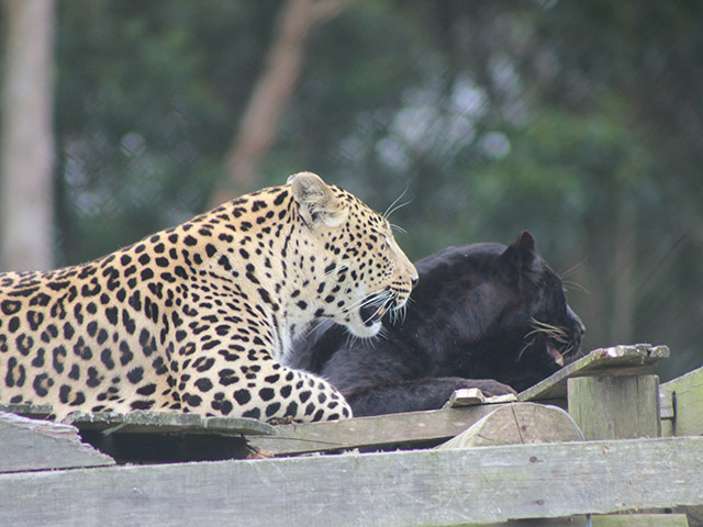 George Wildlife Park 2026 6 ld