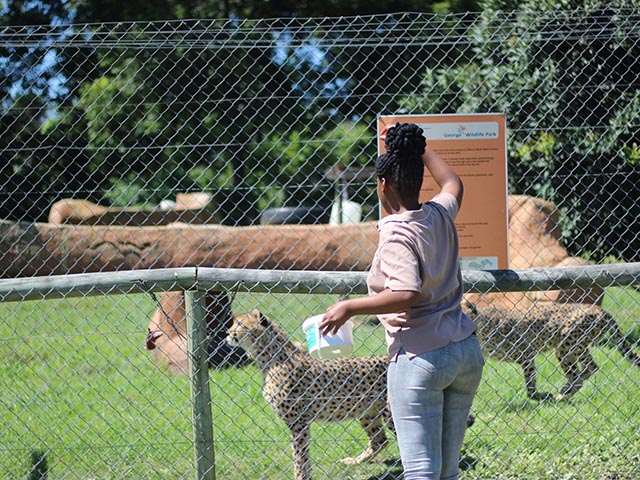 George Wildlife Park 2026 9 ld