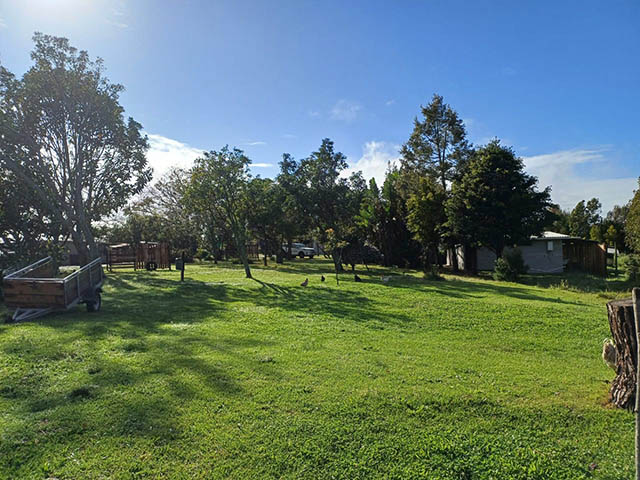 Southern Comfort Camping 3 ld